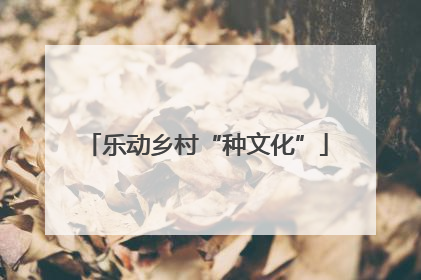 乐动乡村“种文化”