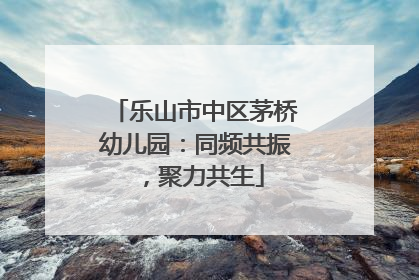乐山市中区茅桥幼儿园：同频共振，聚力共生