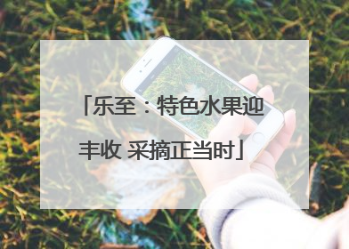 乐至：特色水果迎丰收 采摘正当时