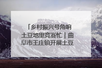 乡村振兴号角响 土豆地里竞赛忙｜曲阜市王庄镇开展土豆收获劳动竞赛