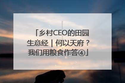 乡村CEO的田园生意经｜何以天府？我们用粮食作答④