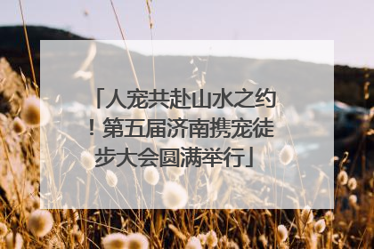 人宠共赴山水之约！第五届济南携宠徒步大会圆满举行