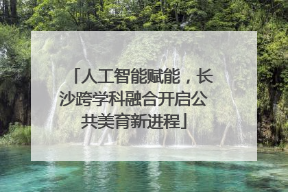 人工智能赋能，长沙跨学科融合开启公共美育新进程
