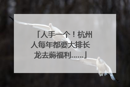 人手一个！杭州人每年都要大排长龙去薅福利……