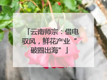 云南师宗：借电驭风，鲜花产业“破圈出海”