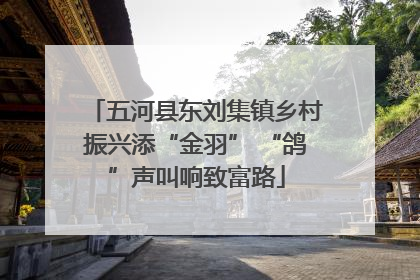 五河县东刘集镇乡村振兴添“金羽” “鸽”声叫响致富路