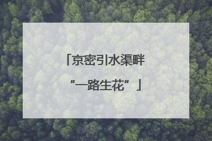 京密引水渠畔“一路生花”