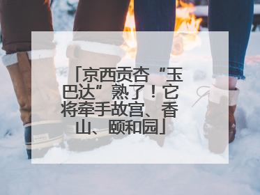 京西贡杏“玉巴达”熟了！它将牵手故宫、香山、颐和园