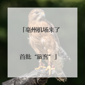 亳州机场来了首批“旅客”