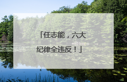 任志能，六大纪律全违反！