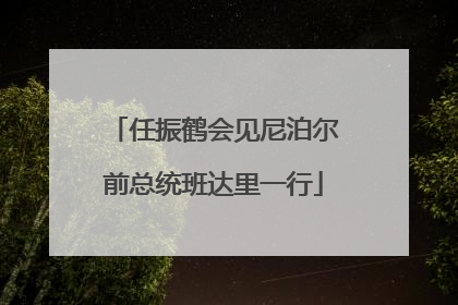 任振鹤会见尼泊尔前总统班达里一行