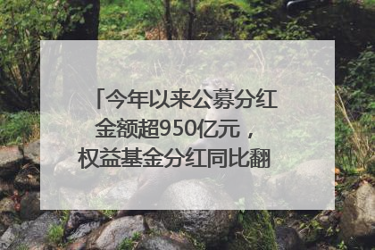 今年以来公募分红金额超950亿元，权益基金分红同比翻倍｜招财猫
