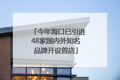 今年海口已引进48家国内外知名品牌开设首店