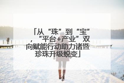 从“珠”到“宝”，“平台+产业”双向赋能行动助力诸暨珍珠升级蜕变