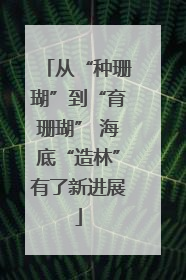 从“种珊瑚”到“育珊瑚” 海底“造林”有了新进展
