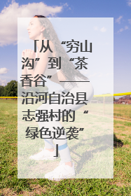 从“穷山沟”到“茶香谷”——沿河自治县志强村的“绿色逆袭”