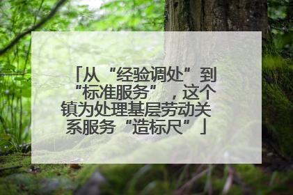 从“经验调处”到“标准服务”，这个镇为处理基层劳动关系服务“造标尺”