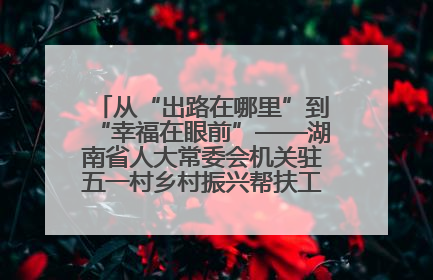 从“出路在哪里”到“幸福在眼前”——湖南省人大常委会机关驻五一村乡村振兴帮扶工作队书写振兴答卷