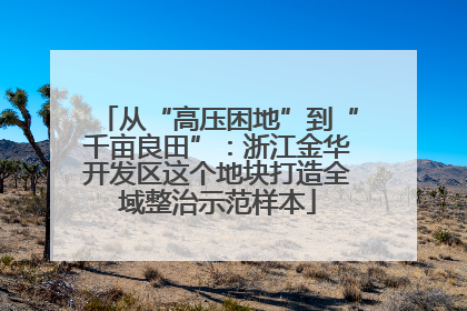 从“高压困地”到“千亩良田”：浙江金华开发区这个地块打造全域整治示范样本