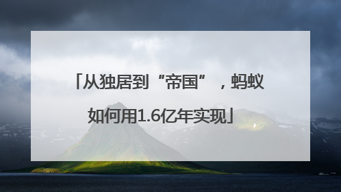 从独居到“帝国”，蚂蚁如何用1.6亿年实现