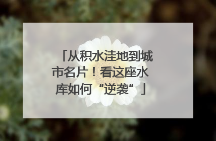 从积水洼地到城市名片！看这座水库如何“逆袭”