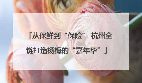 从保鲜到“保险” 杭州全链打造杨梅的“嘉年华”