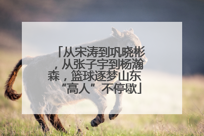 从宋涛到巩晓彬，从张子宇到杨瀚森，篮球逐梦山东“高人”不停歇