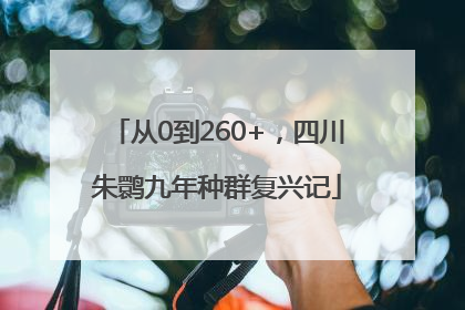 从0到260+，四川朱鹮九年种群复兴记