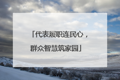 代表履职连民心，群众智慧筑家园
