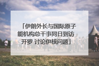 伊朗外长与国际原子能机构总干事同日到访开罗 讨论伊核问题