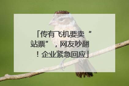 传有飞机要卖“站票”，网友吵翻！企业紧急回应