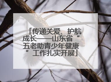 传递关爱、护航成长——山东省“五老助青少年健康”工作扎实开展