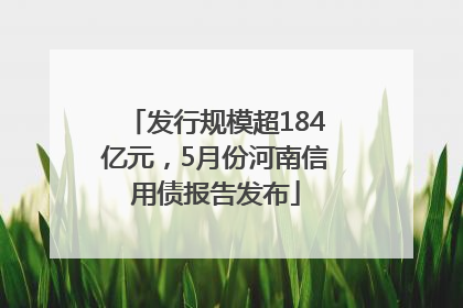 发行规模超184亿元，5月份河南信用债报告发布