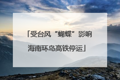 受台风“蝴蝶”影响 海南环岛高铁停运