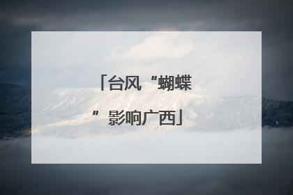 台风“蝴蝶”影响广西