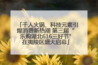 千人火锅、科技元素引爆消费新热潮 第三届“乐购湖北616三好节”在夷陵区盛大启幕