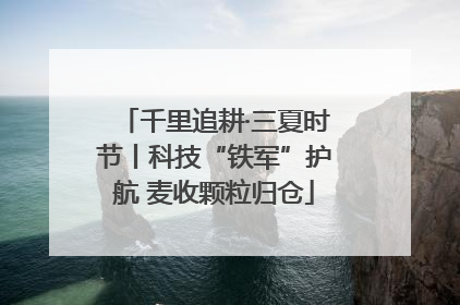 千里追耕·三夏时节丨科技“铁军”护航 麦收颗粒归仓
