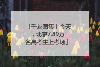 千龙图集丨今天，北京7.89万名高考生上考场