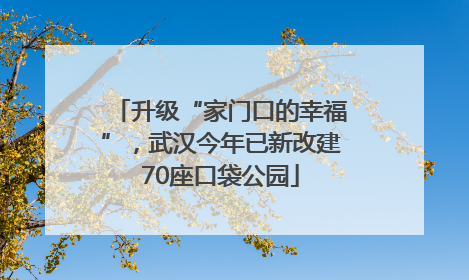 升级“家门口的幸福”，武汉今年已新改建70座口袋公园