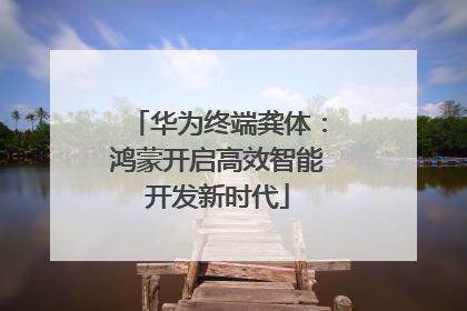 华为终端龚体：鸿蒙开启高效智能开发新时代