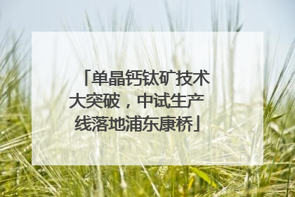 单晶钙钛矿技术大突破，中试生产线落地浦东康桥