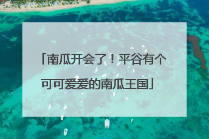 南瓜开会了！平谷有个可可爱爱的南瓜王国