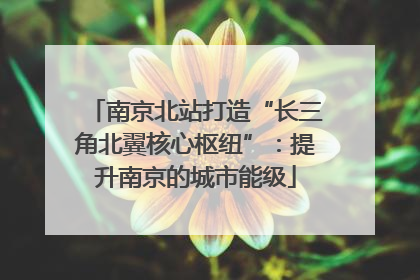 南京北站打造“长三角北翼核心枢纽”：提升南京的城市能级
