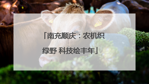 南充顺庆：农机织绿野 科技绘丰年