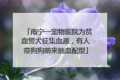 南宁一宠物医院为贫血警犬征集血源，有人带狗狗前来抽血配型