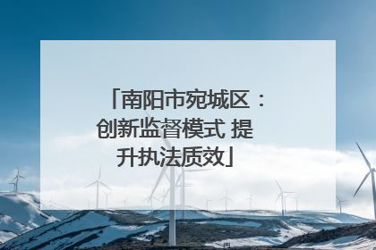 南阳市宛城区：创新监督模式 提升执法质效