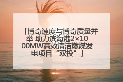 博奇速度与博奇质量并举 助力滨海港2×1000MW高效清洁燃煤发电项目“双投”