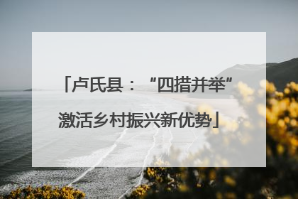 卢氏县：“四措并举”激活乡村振兴新优势