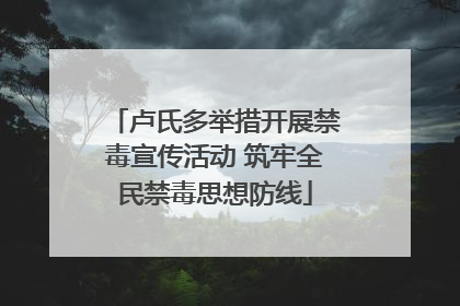 卢氏多举措开展禁毒宣传活动 筑牢全民禁毒思想防线