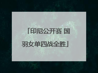 印尼公开赛 国羽女单四战全胜